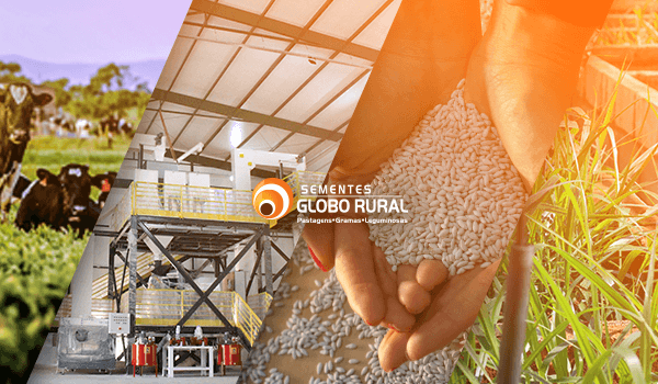Sobre a Sementes Globo Rural